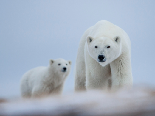 Untitled design - 2023-07-04T140927.716